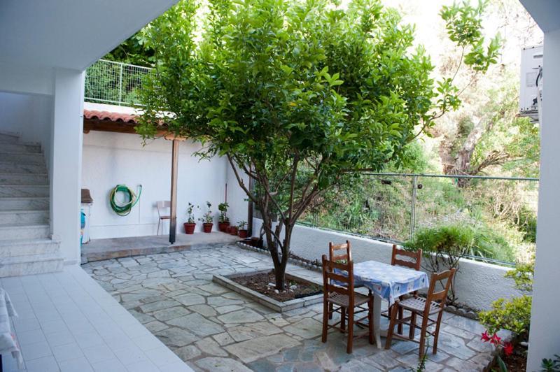 Syraina Apartments Skiathos-stad Buitenkant foto